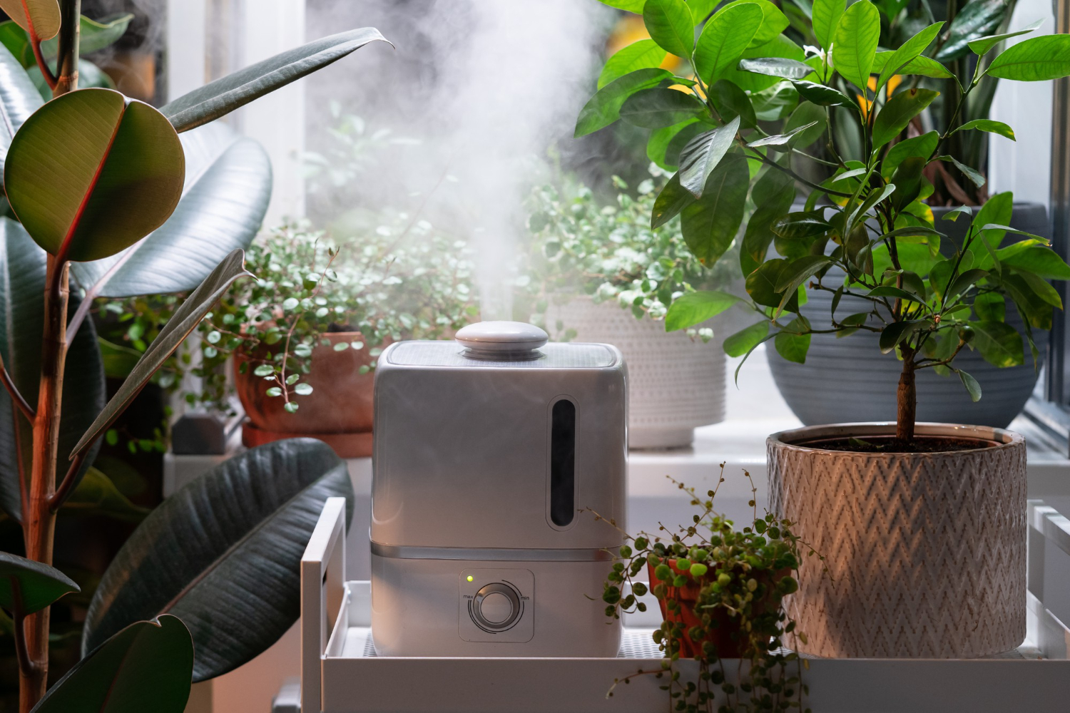 indoor air quality